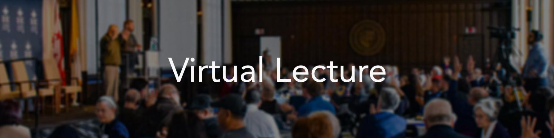 Virtual Lecture 