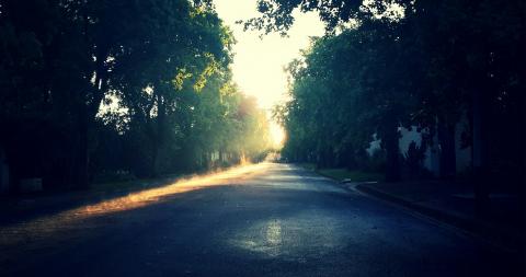 sun shining through trees on a dirt road 